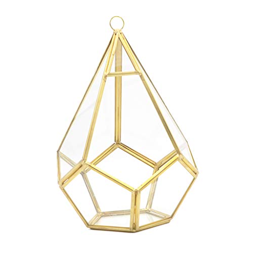 Fünfseitiges Rhombus-Glasregal, geometrisches Sukkulenten-Terrarium, geeignet für Desktop-Dekoration, großes klares Moos, Pflanzgefäß, Blumen-Sets für den Innenbereich
